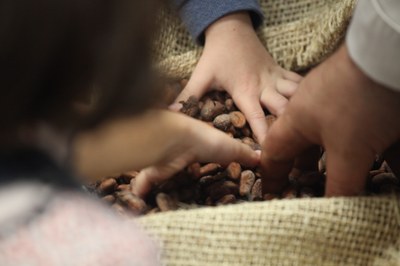 A la découverte du chocolat